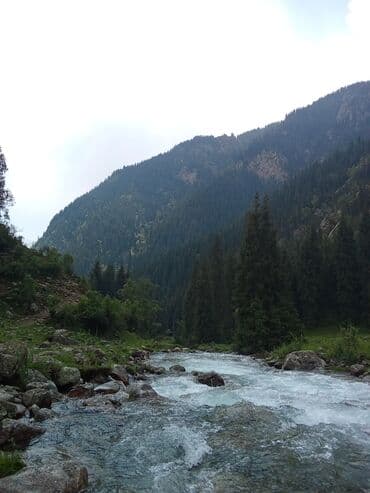 дом на иссык куле купить: Суу чыгарабыз,суу чыгарабыз Арзан,Арзан,арзан 40чы труба,насос — 6