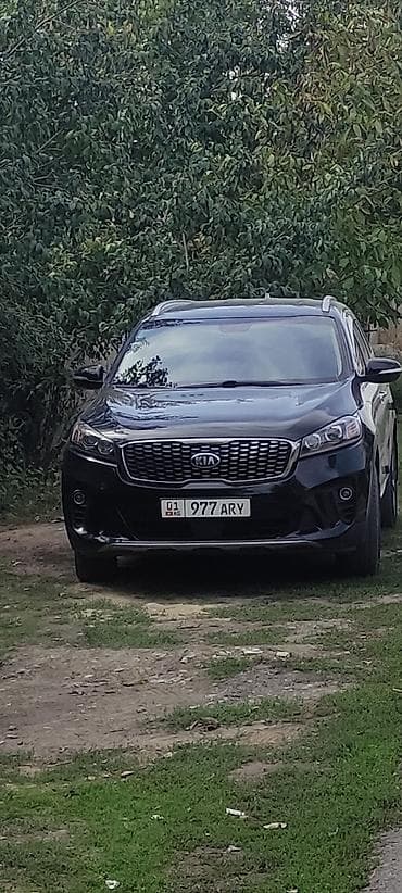 Kia Sorento: 2018 г., 2.2 л, Автомат, Дизель, Кроссовер