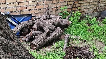 Үй жана бакча: Отун Өзү алып кетүү — 2