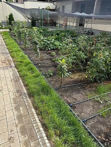 Установка/Монтаж капельного полива для сада/огорода/полей Что