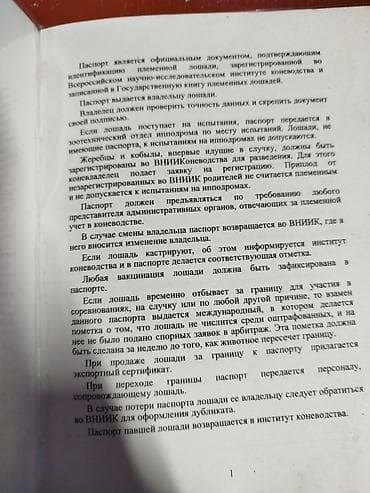 симина кукурузы: Продаю | Конь (самец) | Кара Жорго | Рабочий — 5