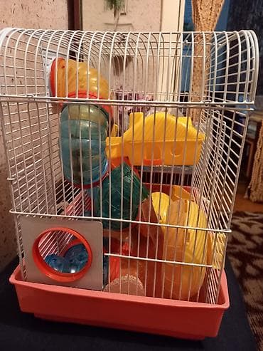 Морские свинки: Клетка для хомяка с игровым лабиринтом - Просторная металлическая — 1