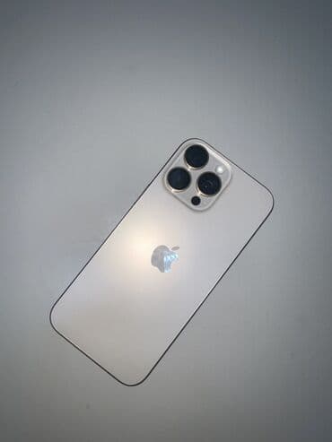 IPhone 16 Pro Max, Серебристый