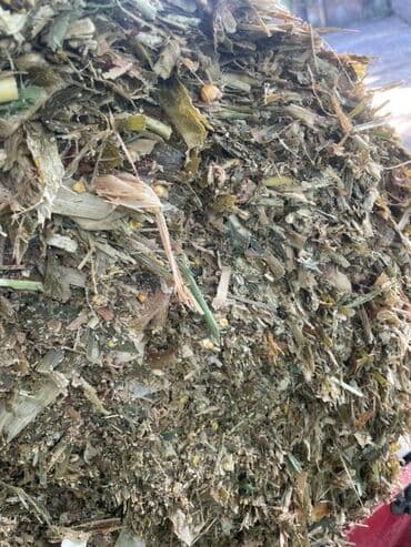 охрана дома: Предлагается силос, измельченный и смешанный корм, предназначенный для — 5