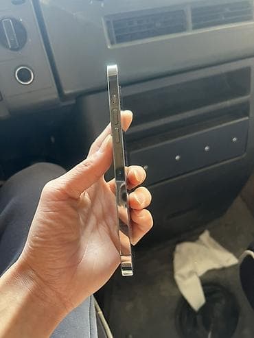 IPhone 13 Pro Max, Графит