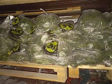 Продукты питания: Замороженные овощи и фрукты — недорого Ассортимент: - Помидоры — 1