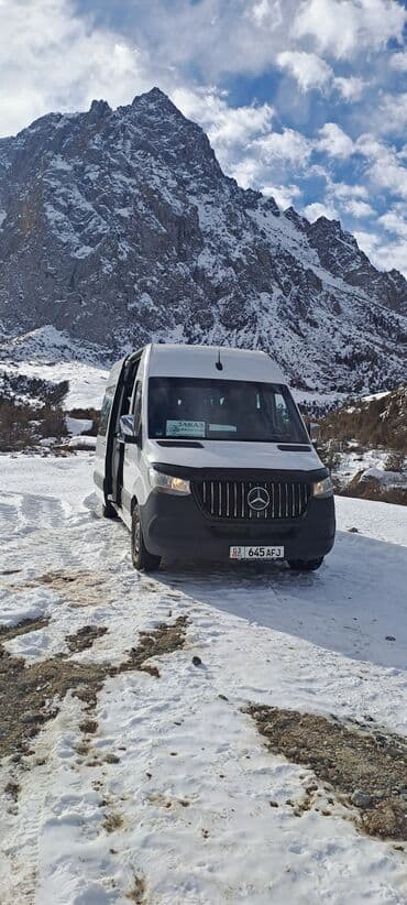 Реклама, печать: Бус на заказ — 12