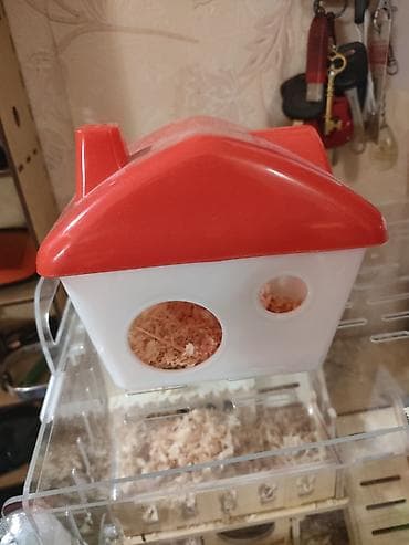 Грызуны: Домик для грызунов из прочного пластика - Форма: «домик» с крышей и — 1