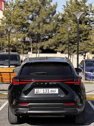 lexus aristo: Lexus NX: 2023 г., 2.4 л, Автомат, Бензин, Кроссовер — 6