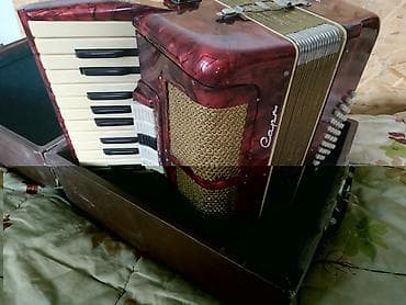 Аккордеоны: Аккордион capriola итальянский Размер 3/4 Инструмент рабочий — 3