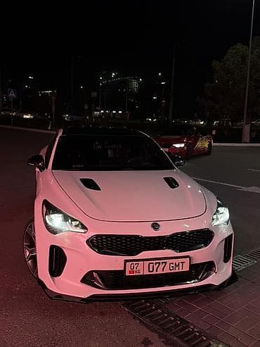 подсветки для машины: Kia Stinger: 2017 г., 3.3 л, Автомат, Бензин, Лифтбек — 3