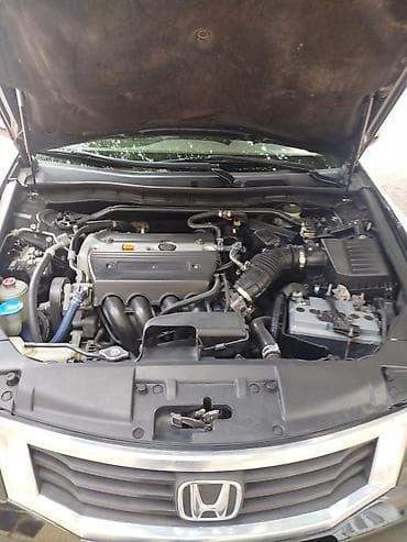 нужны: Honda Accord: 2008 г., 2.4 л, Автомат, Бензин, Седан — 5
