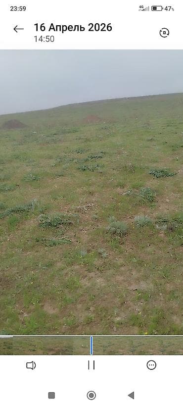 участок панорама: 6 соток — 2