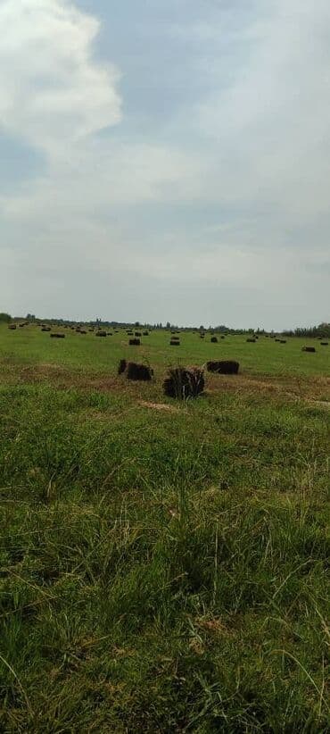 дом на иссык куле купить: Для сельского хозяйства — 5