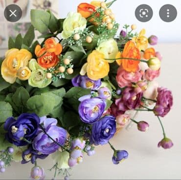 цветы домашнии: Организация мероприятий | Букеты, флористика — 3