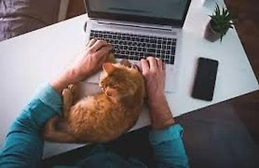 сдаю офис бишкек: Удалённая работа: онлайн-поддержка и администрирование Описание — 1