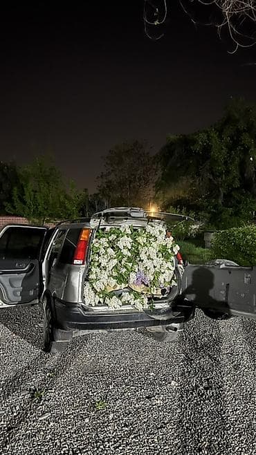 срв 1996: Honda CR-V: 1996 г., 2 л, Автомат, Бензин, Кроссовер — 5