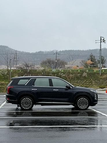 ceed: Hyundai Palisade: 2019 г., 2.2 л, Автомат, Дизель, Внедорожник — 3