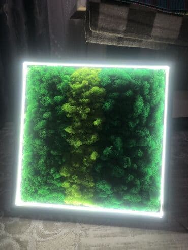 кызыл май свечи в бишкеке: МОХ — 1