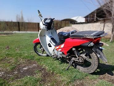 Кумурска мотороллер: Скутеретта Daelim, 110 куб. см, Бензин, Колдонулган — 4