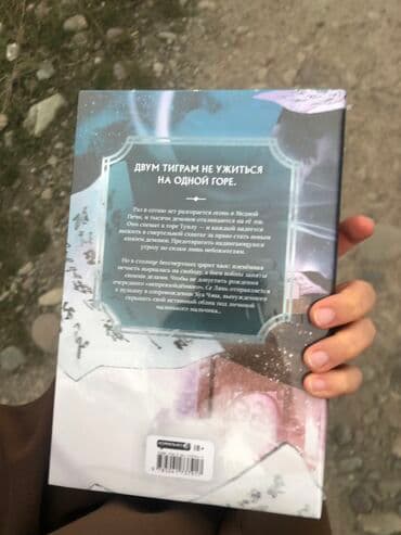 купить спортивный валик для спины: Благословение небожителей 4 том книга новая, но уже распечатанная — 2