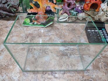 аквариумный: Аквариум новый объём 5 л. Есть и другие объёмы аквариумов, а также — 3