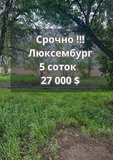 5 соток, Курулуш, Кызыл китеп, Сатып алуу-сатуу келишими — 1
