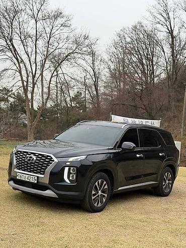 hyunda: Hyundai Palisade: 2020 г., 2.2 л, Автомат, Дизель, Кроссовер — 1