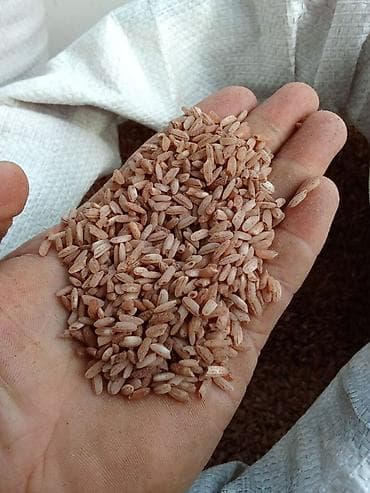 Фрукты: Бурый рис, представленный на изображении, отличается естественным — 1