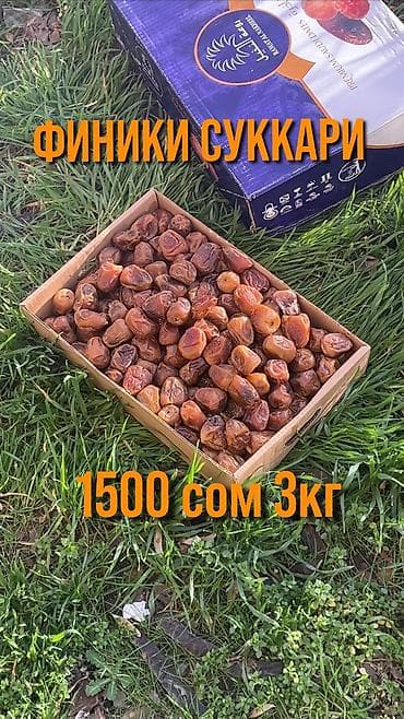 Чай, кофе, суусундуктар: ФИНИКИ СУККАРИ 🌙 🔥 Лучший выбор для разговения в Рамадан! 📦 Коробка — 1
