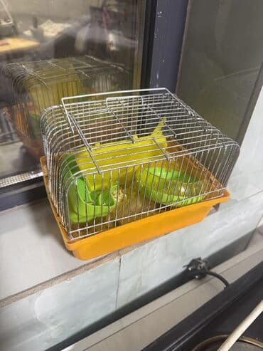 напольная когтеточка для кошек: Клетка для мелких птиц - Компактная клетка с металлическими прутьями — 1