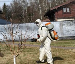 Бала бакчалар, бала багуучулар: Садовник! Готовим Сад к Зиме! Обработка и обрезка Сада Уборка — 3