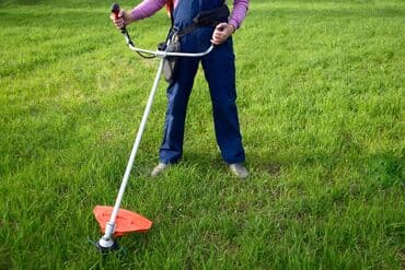 дешевые квартиры в бишкеке на длительный срок: Триммер бензиновый в аренду Ваш двор или участок зарос травой? не — 4