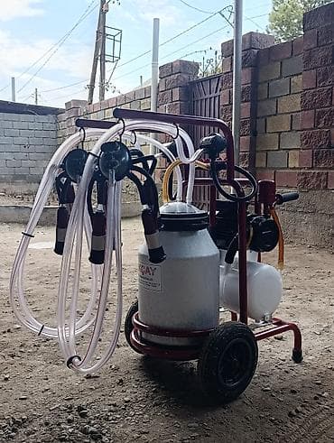 аппарат для доения коров: Передвижной доильный аппарат на тележке - Двойной пост: два доильных — 4