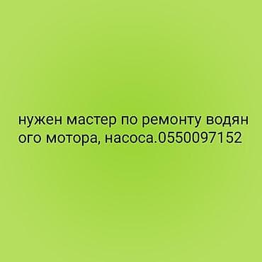 мастера: Мастер по ремонту водных моторов и насосов скважина — 1