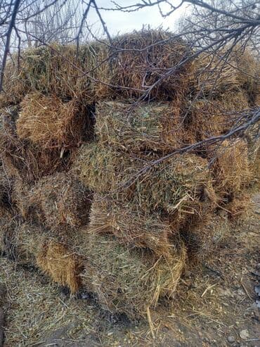 дойный корова: Сено в тюках - Смесь луговых трав: злаковые и разнотравье. - Плотная — 2