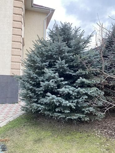 Декор для дома и сада, Декоративная фигура, Самовывоз