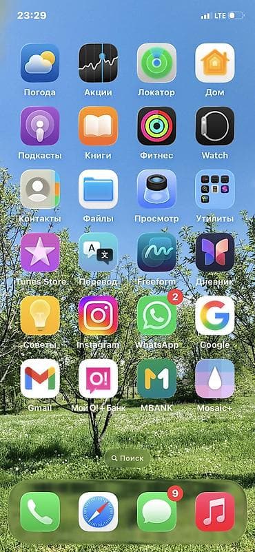 ps 6: IPhone 11 — 4