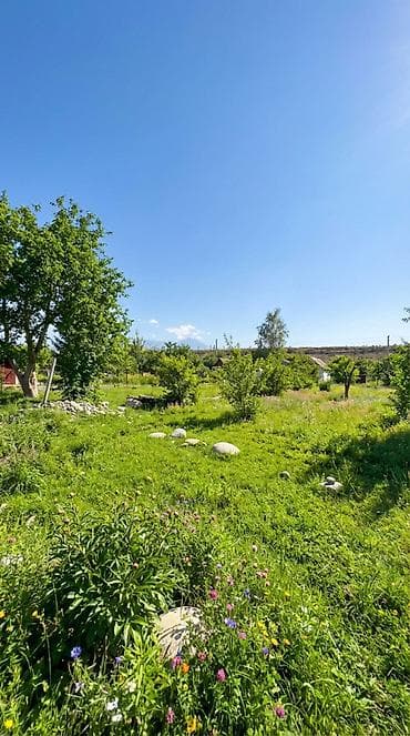 участок по первой линии: 10 соток, Для строительства, Красная книга, Договор купли-продажи — 6