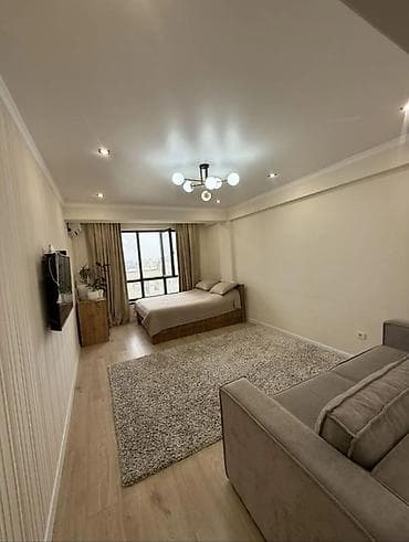 binar: 1 комната, 49 м², Элитка, 12 этаж, Евроремонт — 1