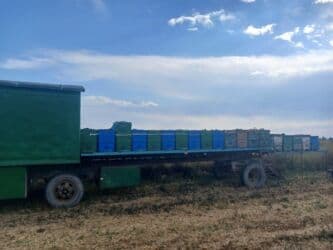 винтовой домкрат: Продаётся Пчелоплатформа — 1