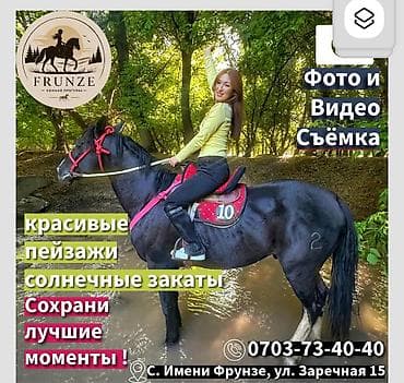 баста концерт бишкек: Конные прогулки и обучение верховой езде FRUNZE - Прогулки на — 2