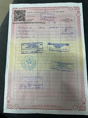 Жумурткалар: Куриные яйца, фасованные в коробки по палетам. Характеристики: - — 3