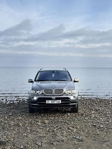 BMW X5: 2004 г., 4.4 л, Автомат, Газ, Кроссовер