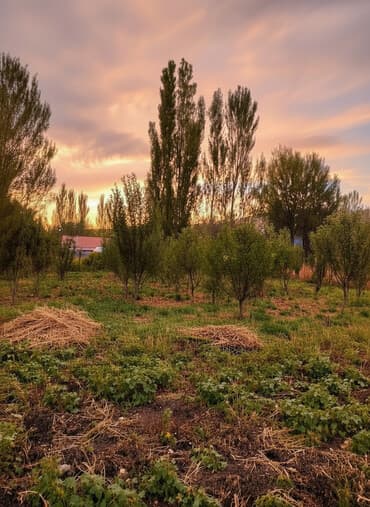 дом рабочем городке: Дом, 68 м², 4 комнаты, Собственник, Старый ремонт — 1