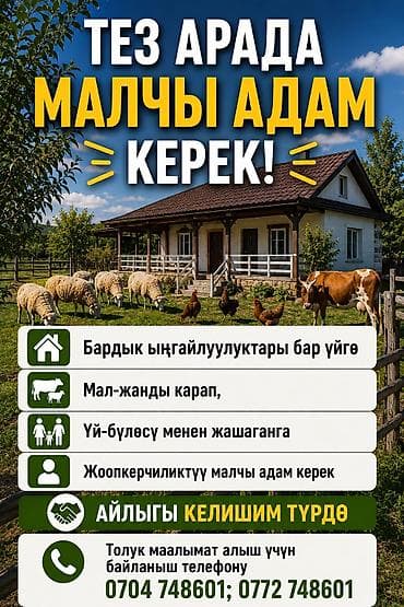 Работа: Малчы керек — 1