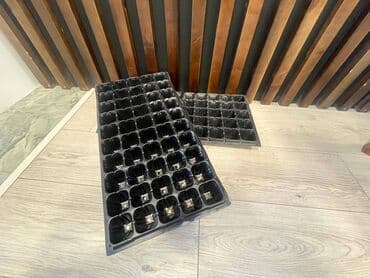 фитолампы для растений: Продам! Кассеты для выращивания рассады, 50 ячеек, по 50 мл, из — 2