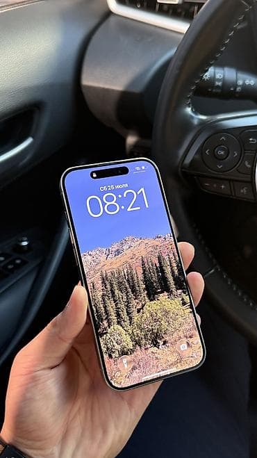 IPhone 15 Pro, Новый, 256 ГБ, Natural Titanium, Кабель, 76 %
