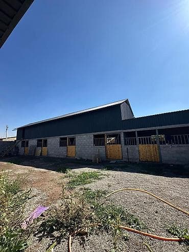 дом жм ынтымак: 7 соток, Бизнес үчүн, Кызыл китеп — 2