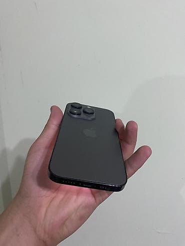 родной сабвуфер: IPhone 14 Pro, Б/у, 128 ГБ, Space Gray, Наушники, Зарядное устройство, Чехол, 66 % — 3